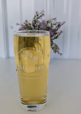 ben4321's photo of American Light Lager (Field Trials)