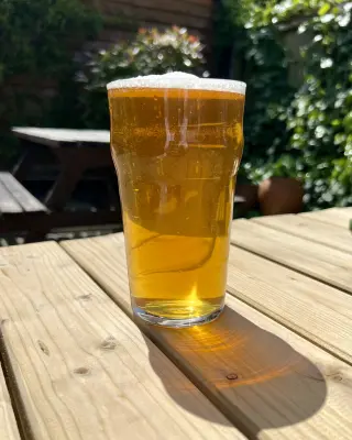 Grumbo's photo of Kings Citra Hop