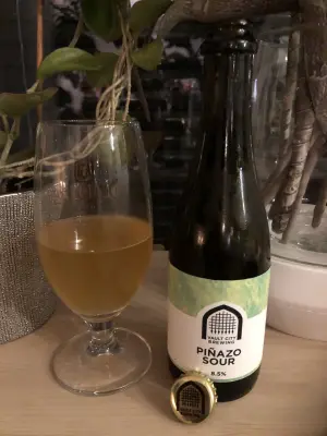 IpaPils's photo of Piñazo Sour