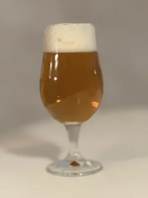 PLohbauer's photo of La Goudale Blonde