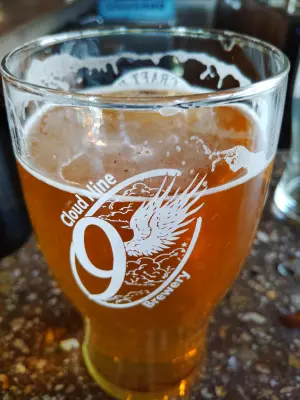 stevoj's photo of Jasmine Pilsner