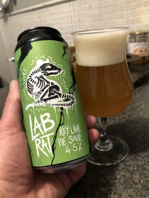 Garrold's photo of Lab Rat - Key Lime Pie Sour