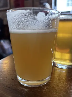 Mr_Pink_152's photo of Citra Idaho 7 Azacca