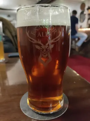 Holmen_1's photo of Hoppity