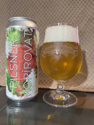 bhensonb's photo of Pilsner Kopírovat