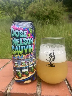wyzzywyz22's photo of Dose of Nelson Sauvin
