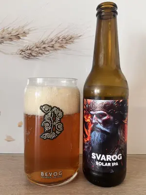 Kita's photo of Svarog Solar IPA