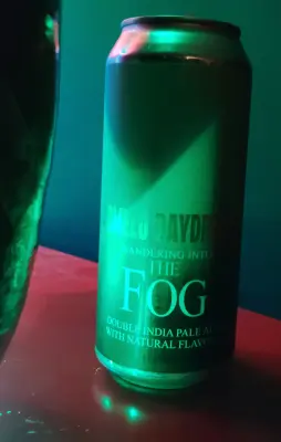 stevoj's photo of Wandering into the Fog - Pomelo Daydream