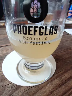 TomHendriksen's photo of Abeja Mexicano