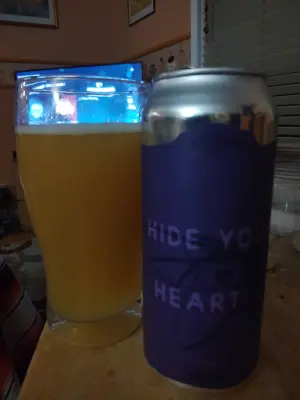 stevoj's photo of Hide Your Heart³