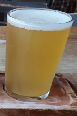 LordAlwold1970's photo of Pale Ale - Galaxy Mosaic