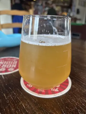 Mr_Pink_152's photo of India Pale Ale - Citra