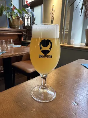 PLohbauer's photo of Hazy Jane 5%