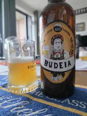 Lunde's photo of Budeia