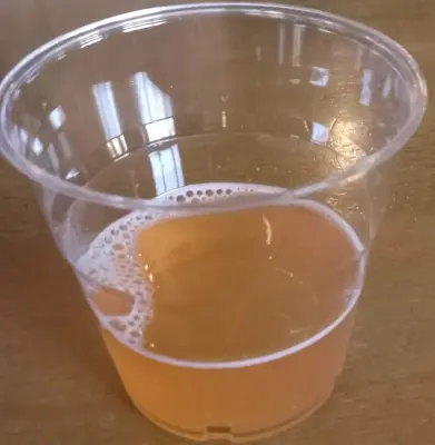 Deanso's photo of Lab Rat - Key Lime Pie Sour