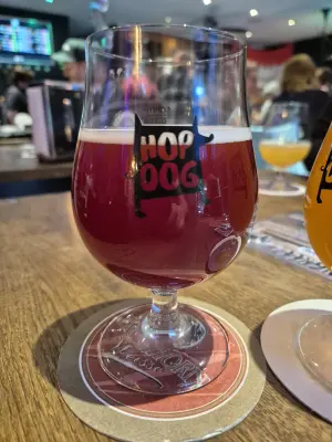 CBarley's photo of Magic Lambic (2024)