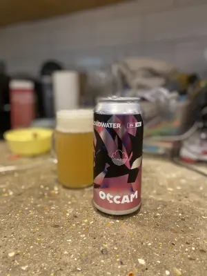 Leighton's photo of Occam