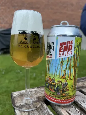 Dedollewaitor's photo of Mere End Bajer