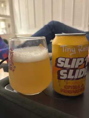 Mr_Pink_152's photo of Slip 'N' Slide