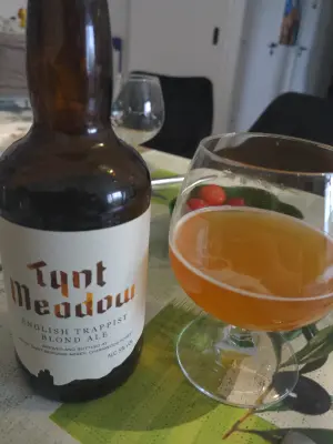 Goldbarren's photo of Tynt Meadow English Trappist Blond