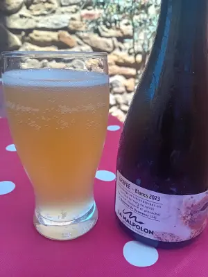 Sebletitje's photo of Grappe Blancs 2023