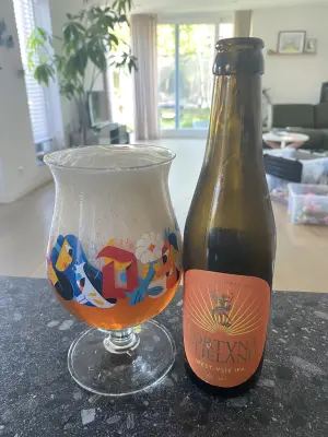 Borresteijn's photo of West-Vlie IPA