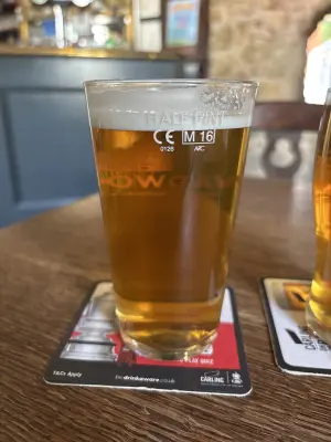 Mr_Pink_152's photo of Incredible Pale Ale