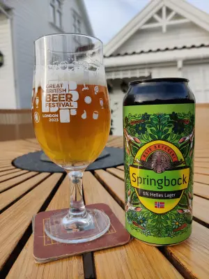 Holmen_1's photo of Springbock
