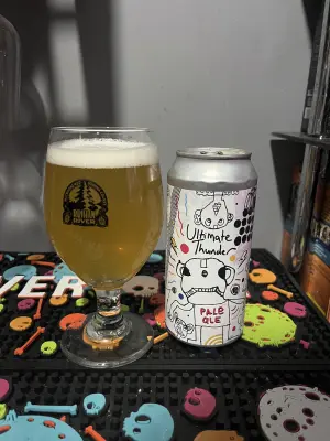 RichTheVillan's photo of Patrons Project 45.02 // Endless Hum // Amity & Elusive // Ultimate Thunder // NZ Pale Ale