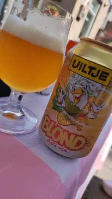 TomHendriksen's photo of Blond