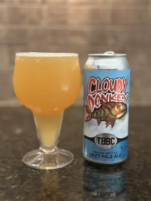 PLohbauer's photo of Cloudy Donkey