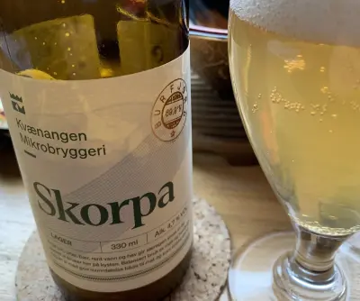 RuneBlix's photo of Skorpa
