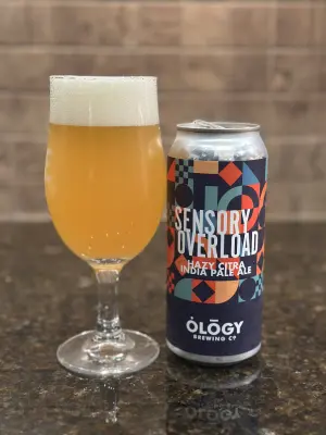 PLohbauer's photo of Sensory Overload
