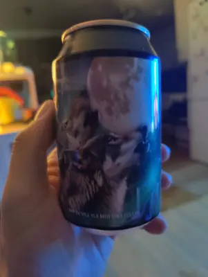AndySnow's photo of Hooja Varg IPA