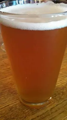 Dogbrick's photo of Seance IPA 