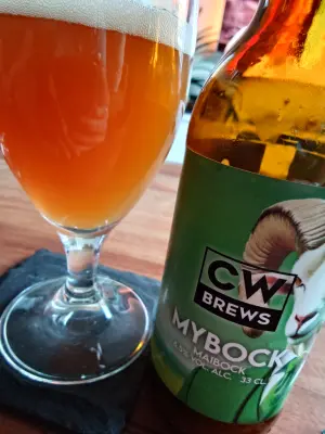 TomHendriksen's photo of Mybock