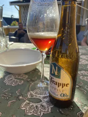 IpaPils's photo of Nillis 0.0%