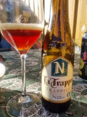 Arsol's photo of Nillis 0.0%