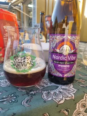 Arsol's photo of Nordic Vibe