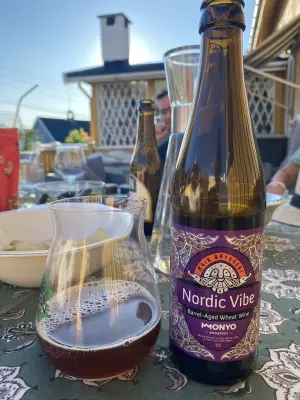 IpaPils's photo of Nordic Vibe