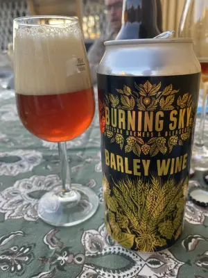 IpaPils's photo of Barley Wine