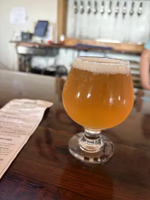 Gripweed57's photo of Fare Thee Well Camp Jam IPA