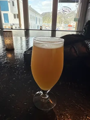 Irishboy's photo of Tore Tang Seaweed IPA (4.7%)