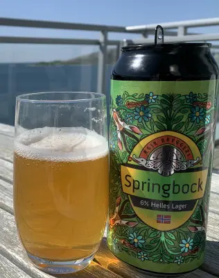 RuneBlix's photo of Springbock