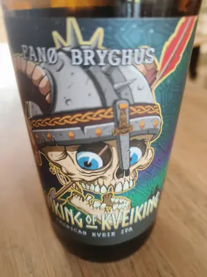 Charlotte's photo of The Viking of Kveiking