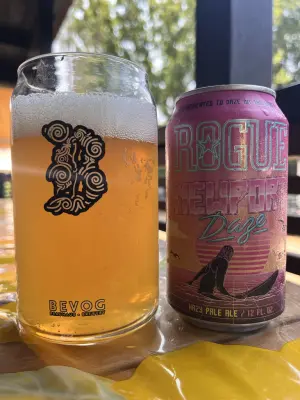 Kita's photo of Newport Daze