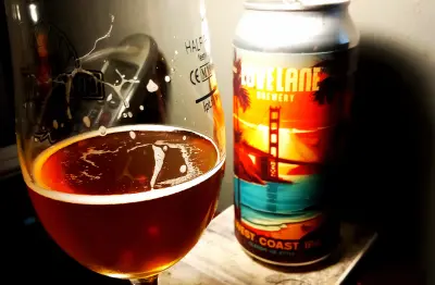 Olut's photo of West Coast IPA (5%)