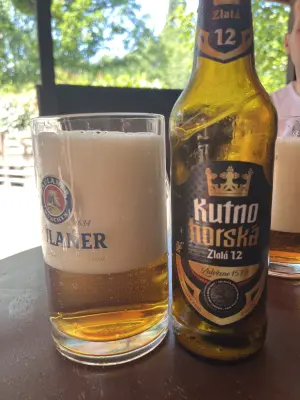 RichTheVillan's photo of Dačický Kutnohorský Světlý Ležák 12°