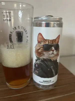 Nisse666's photo of Americat