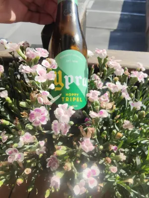 minutemat's photo of Ypra Hoppy Tripel
